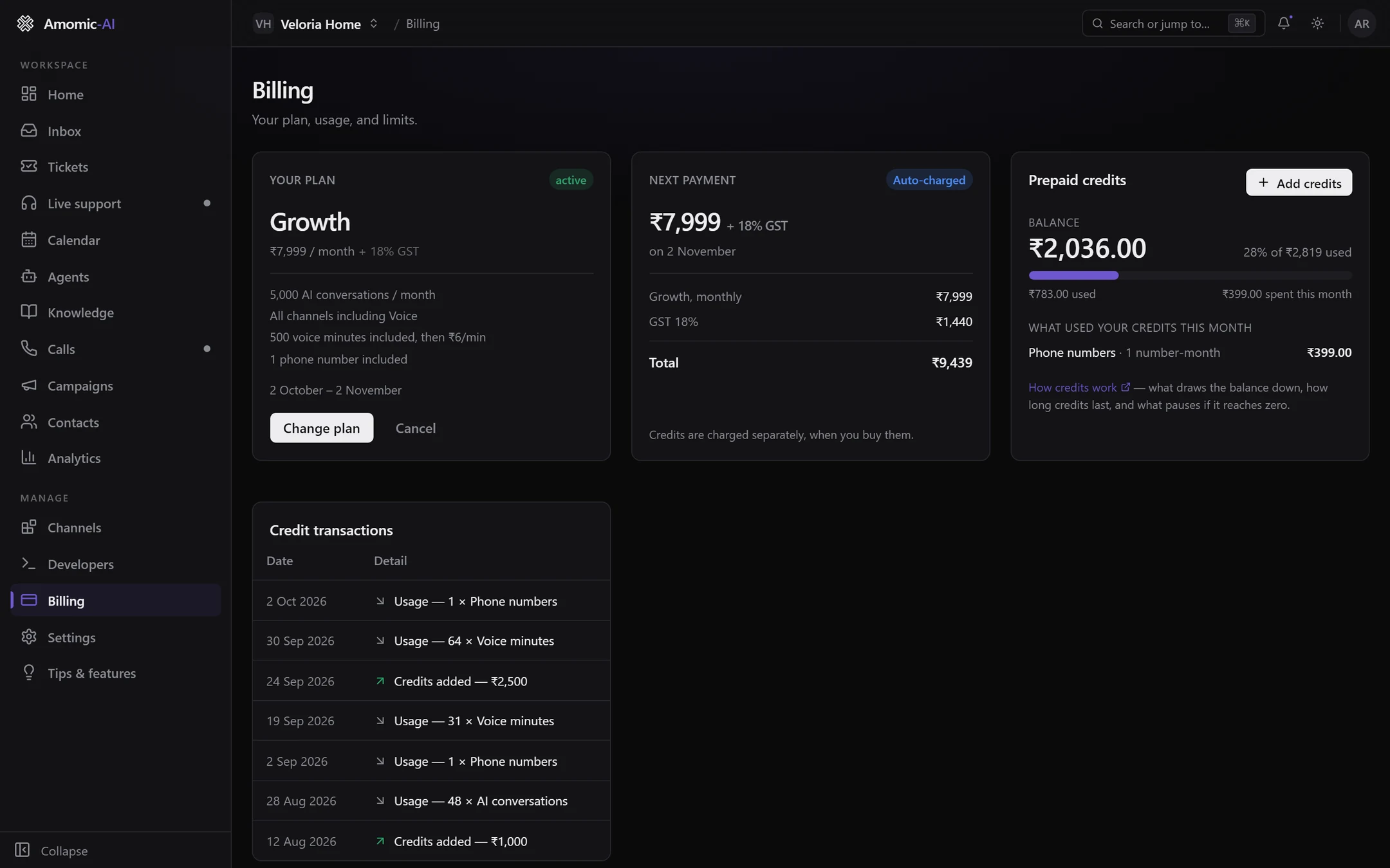 The Billing page for a Growth workspace: Your plan, Next payment and Prepaid credits cards, with Credit transactions below